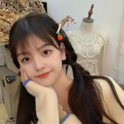 无声的证言第二十六季